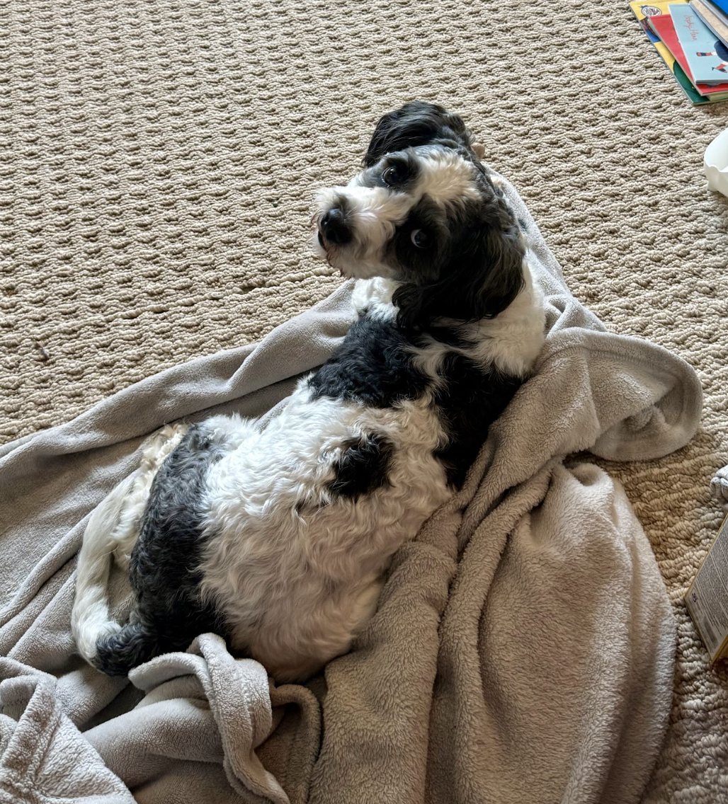 Screenshot 2026-04-22 at 6.04.42 PM.png