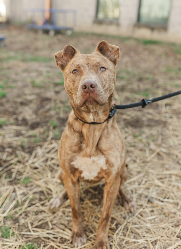 Screenshot 2026-02-25 at 1.08.20 PM.png