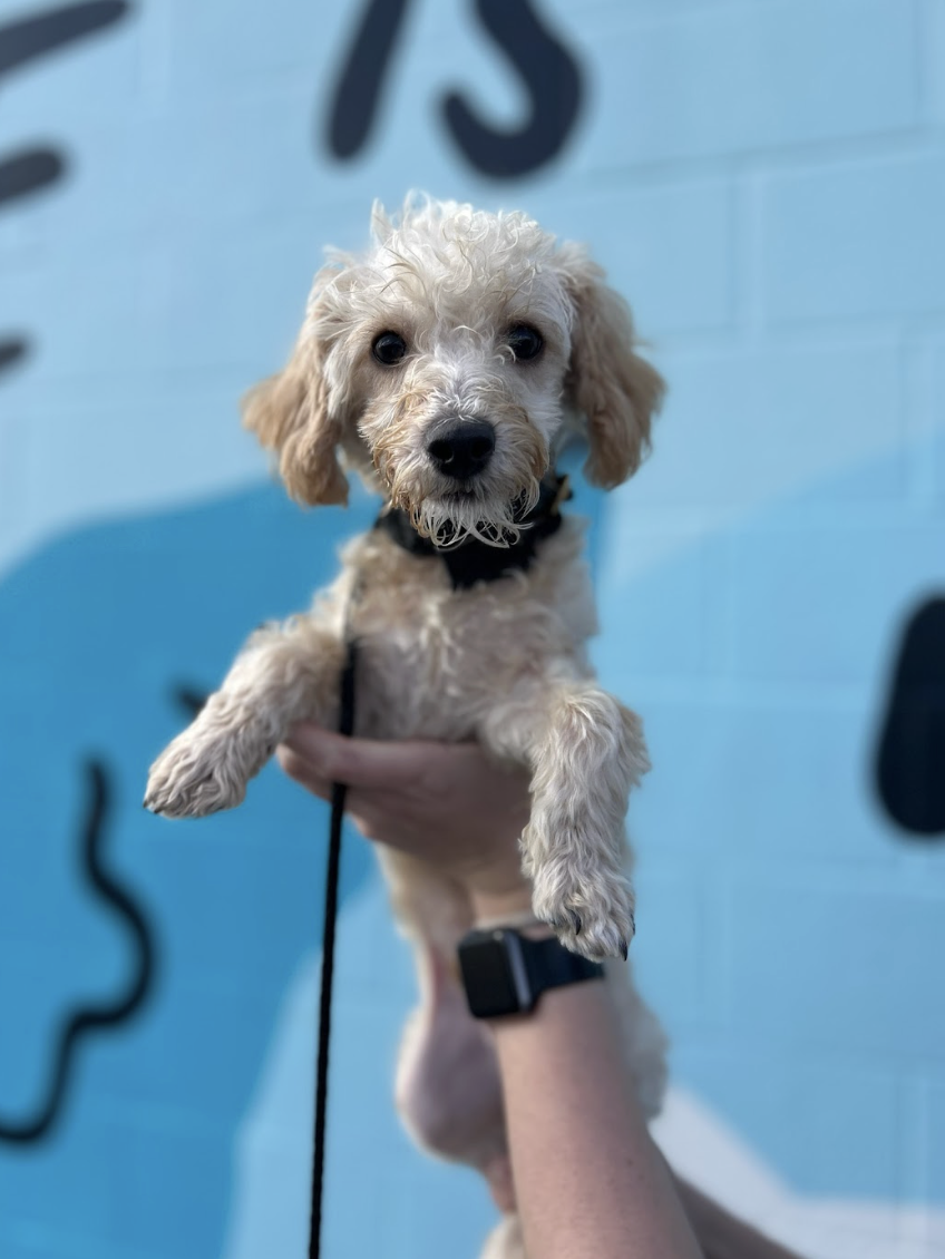 Screenshot 2026-01-14 at 1.44.39 PM.png