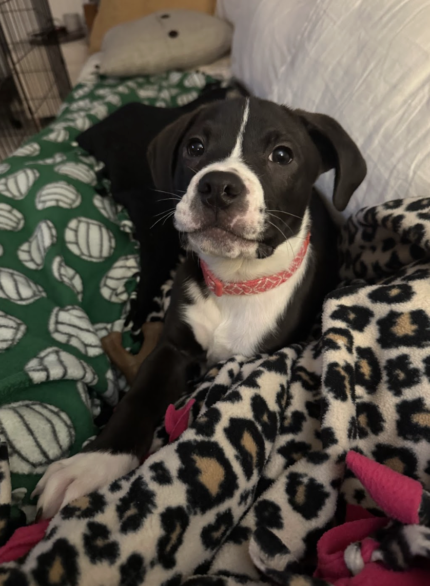 Screenshot 2026-01-14 at 6.21.59 PM.png