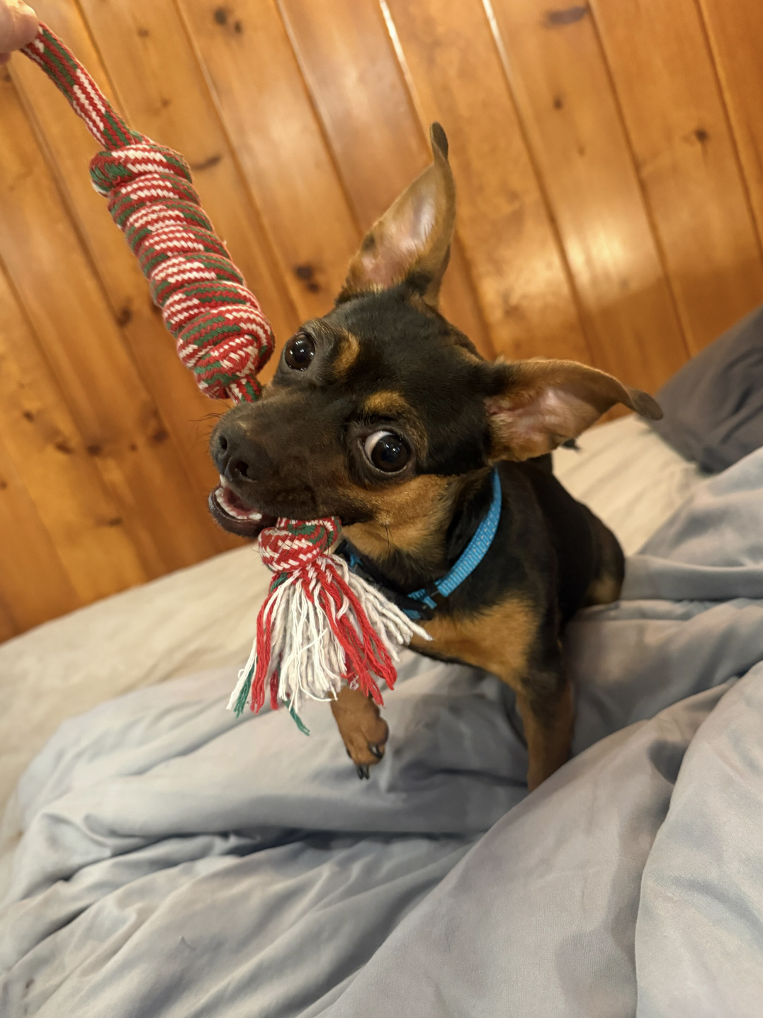 Screenshot 2026-04-07 at 6.30.11 PM.png