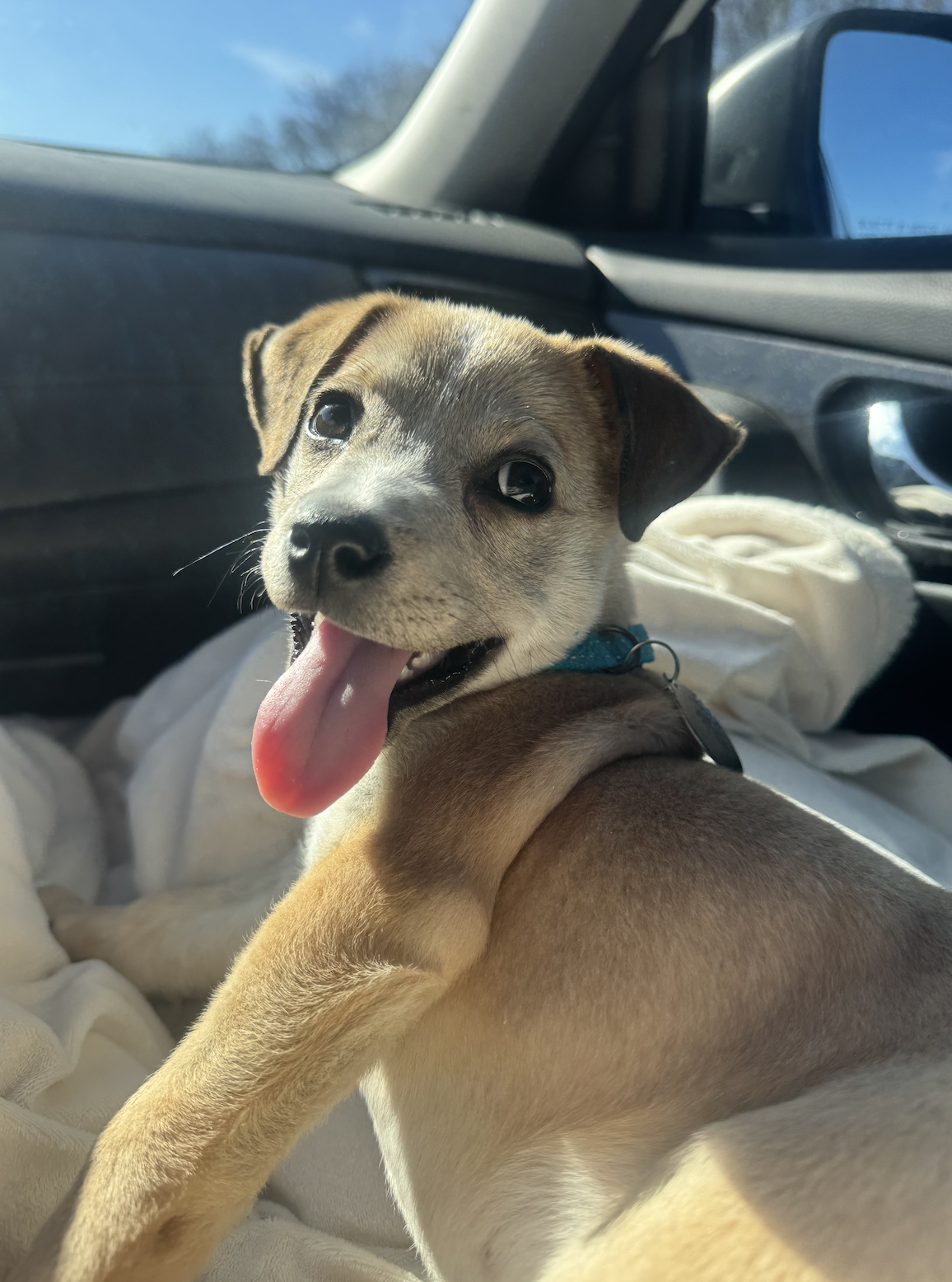 Screenshot 2025-12-26 at 4.04.40 PM.png