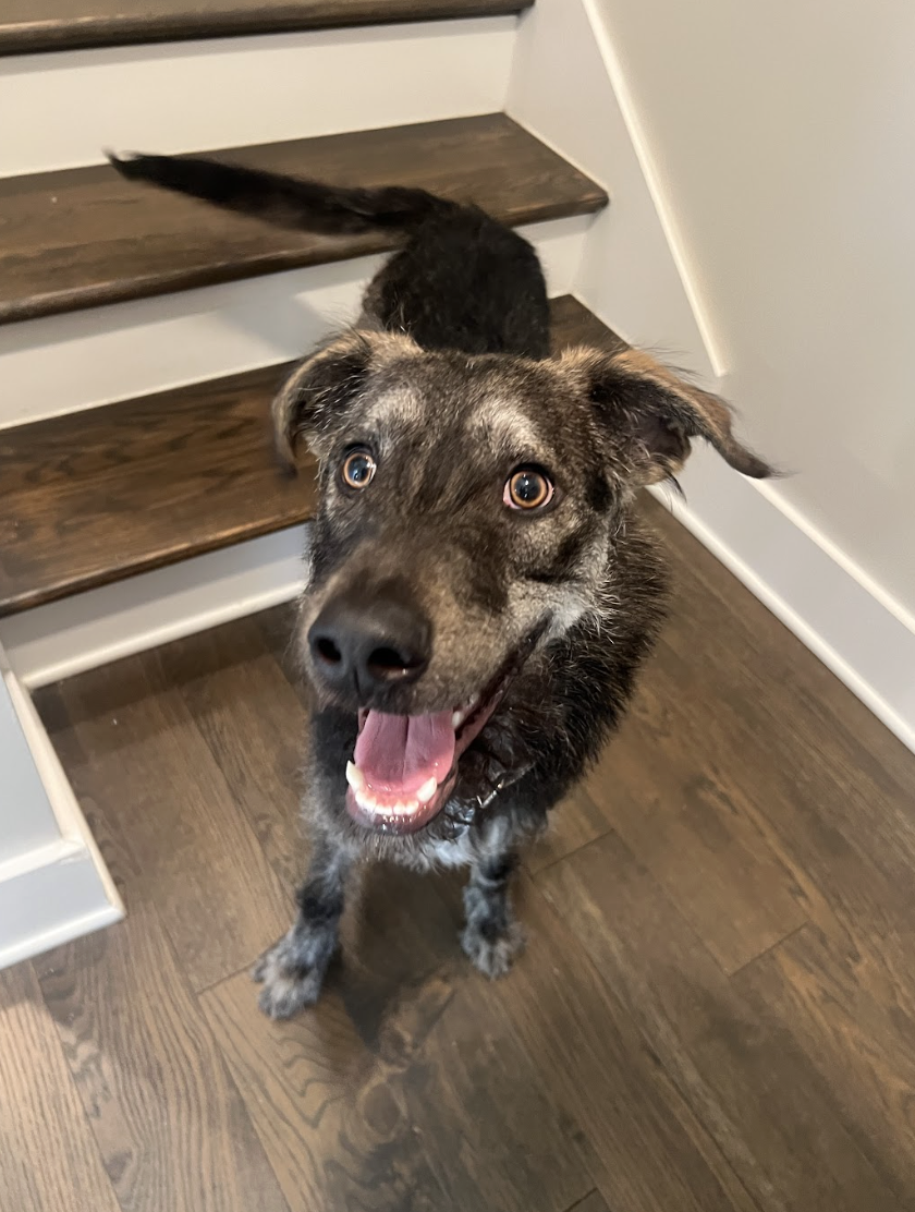 Screenshot 2026-04-22 at 4.36.35 PM.png