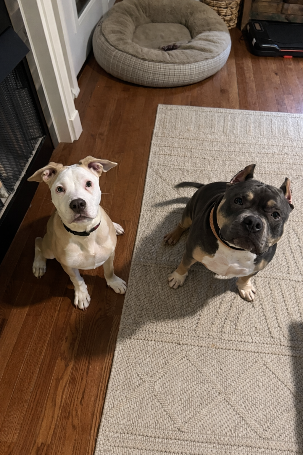 ChatGPT Image Jan 13, 2026, 12_49_30 PM.png