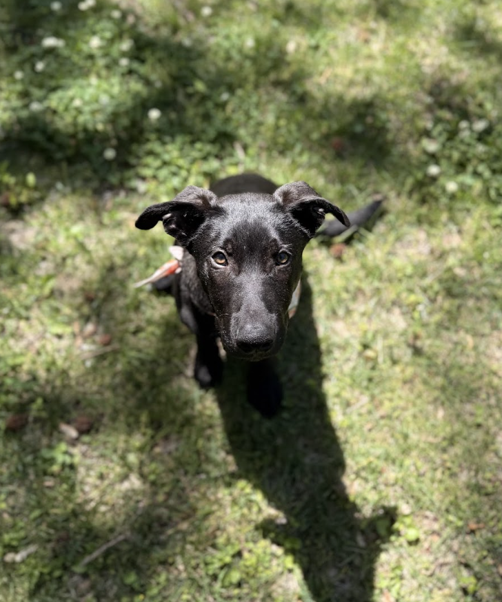 Screenshot 2026-04-23 at 6.54.59 PM.png