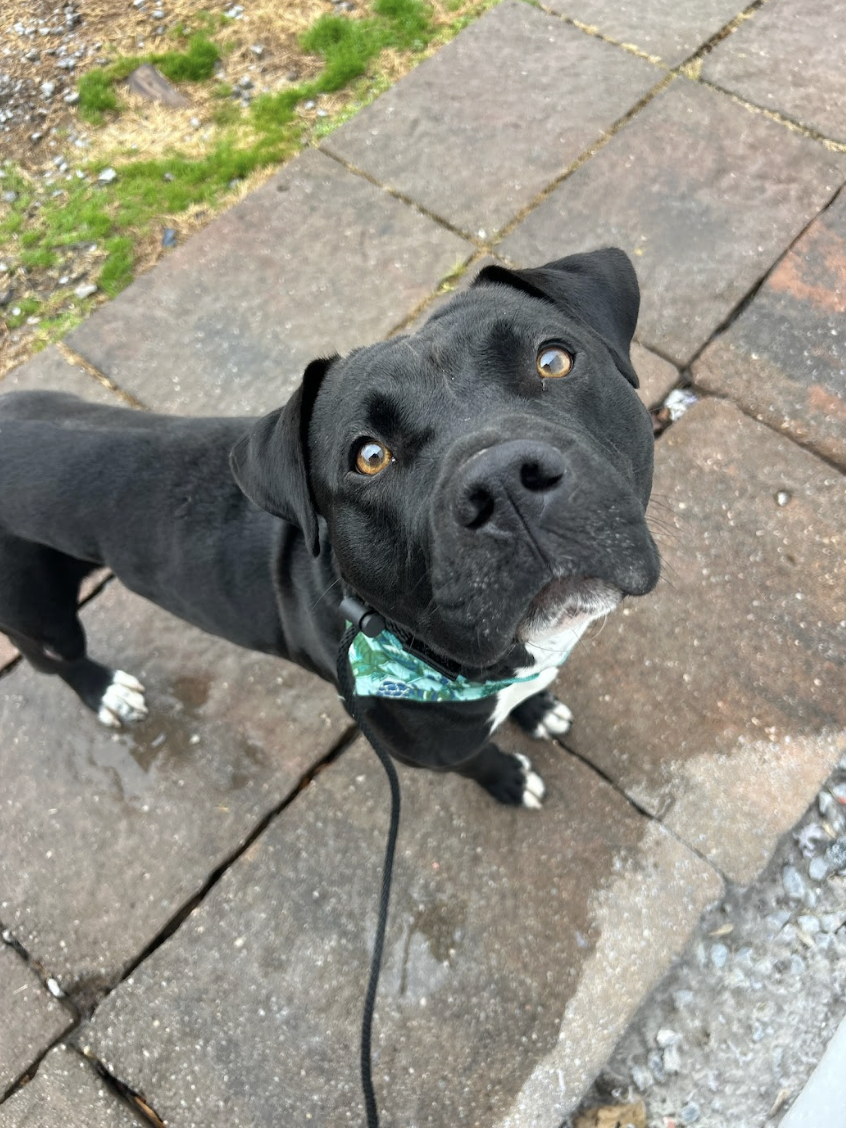 Screenshot 2026-01-14 at 3.42.31 PM.png