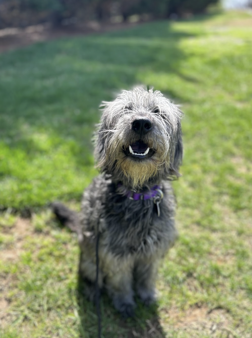 Screenshot 2026-03-14 at 4.48.43 PM.png