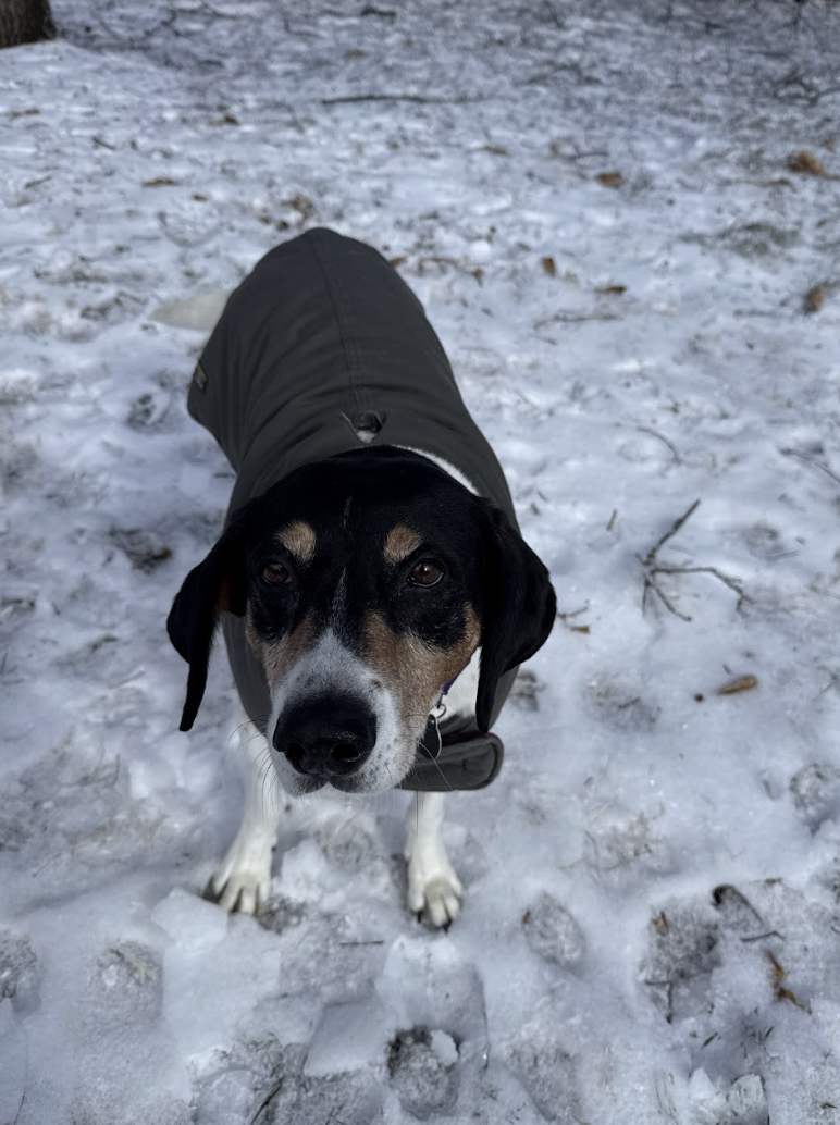 Screenshot 2026-02-26 at 2.16.22 PM.png