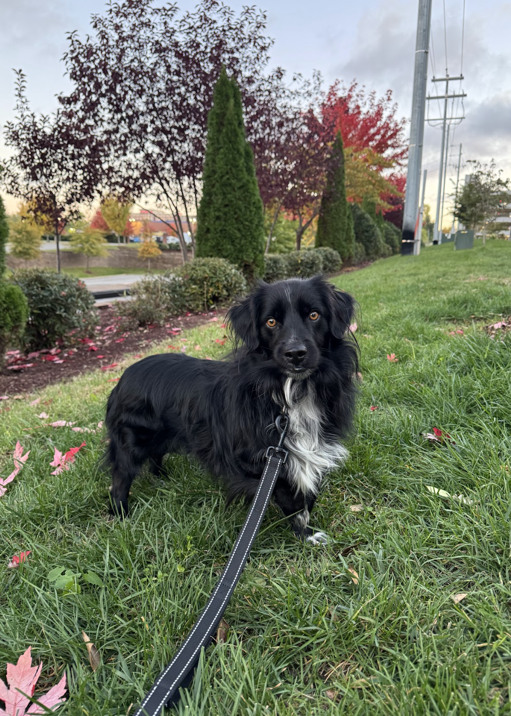 Screenshot 2025-11-28 at 4.24.46 PM.png