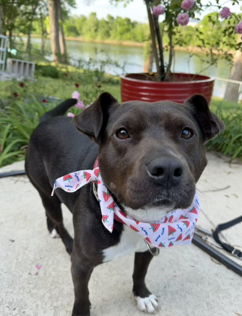 Screenshot 2026-04-22 at 5.53.02 PM.png