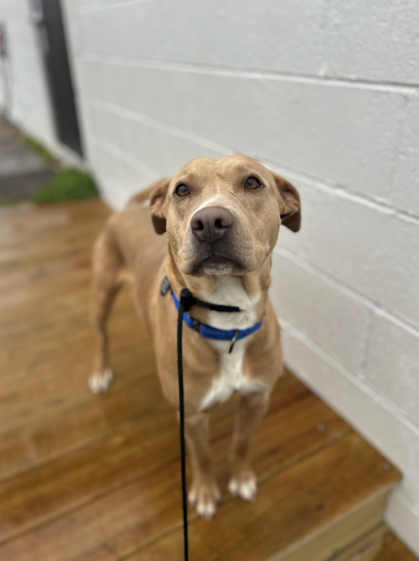 Screenshot 2026-02-19 at 7.30.18 PM.png