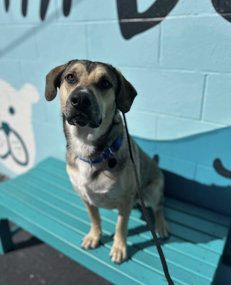 Screenshot 2026-01-14 at 9.08.45 PM.png