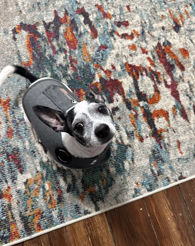 Screenshot 2026-04-22 at 4.13.21 PM.png