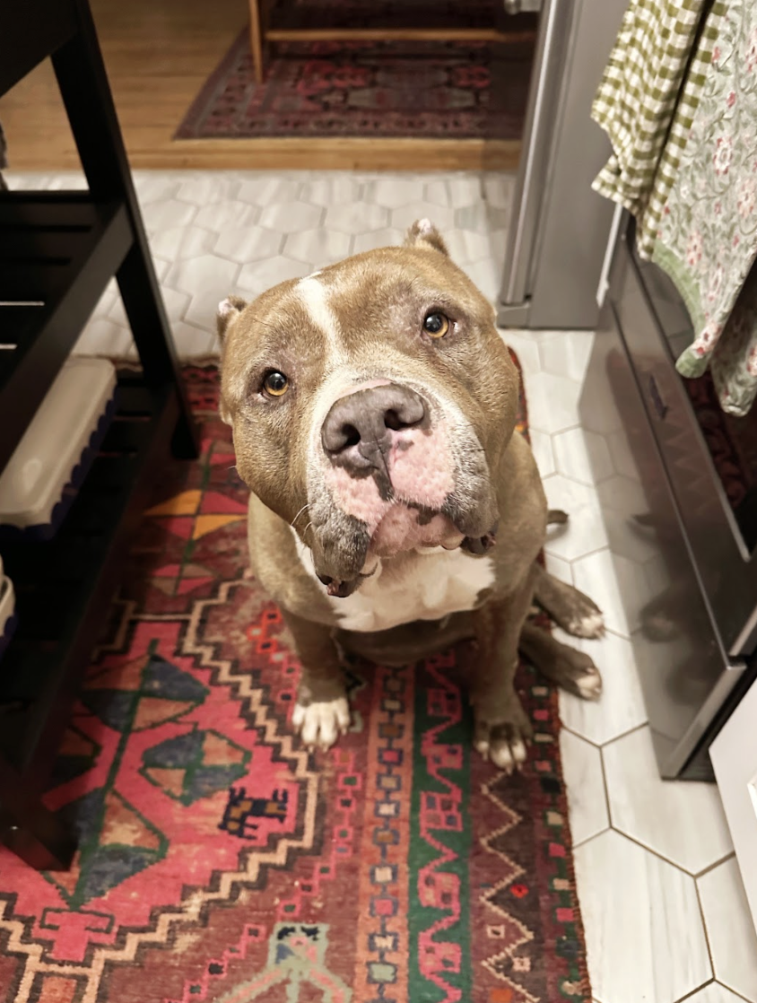 Screenshot 2026-04-15 at 12.43.12 PM.png