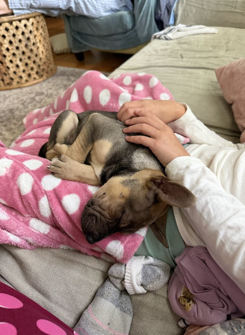 Screenshot 2026-04-08 at 3.29.50 PM.png