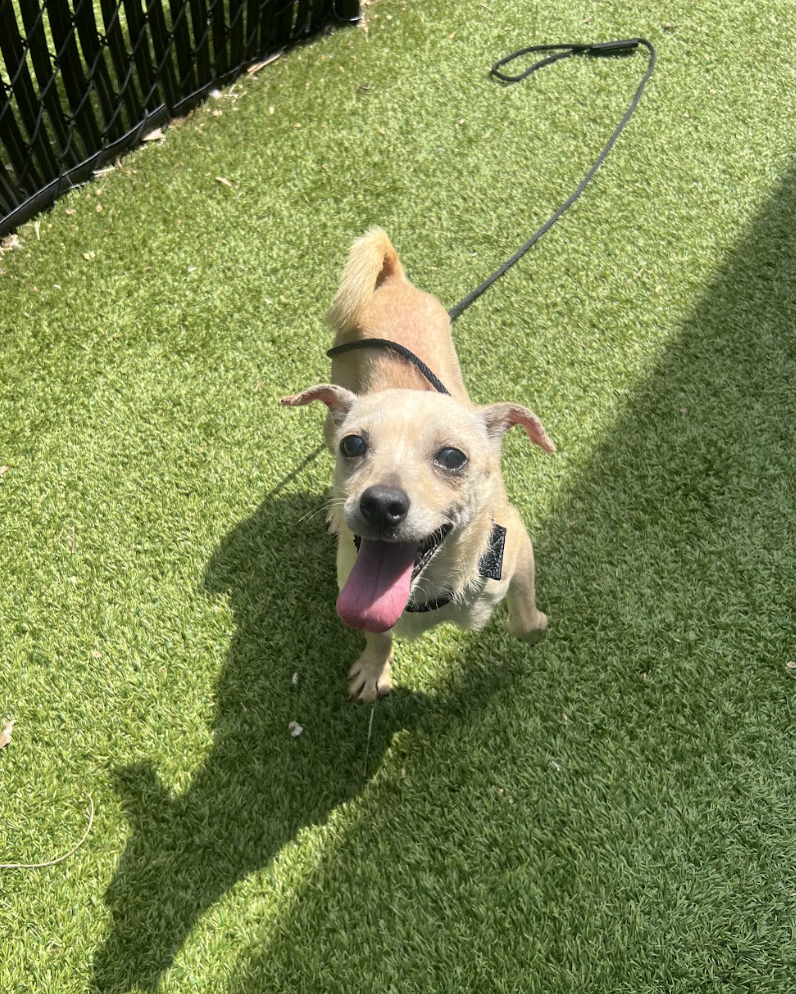 Screenshot 2026-04-21 at 2.00.57 PM.png