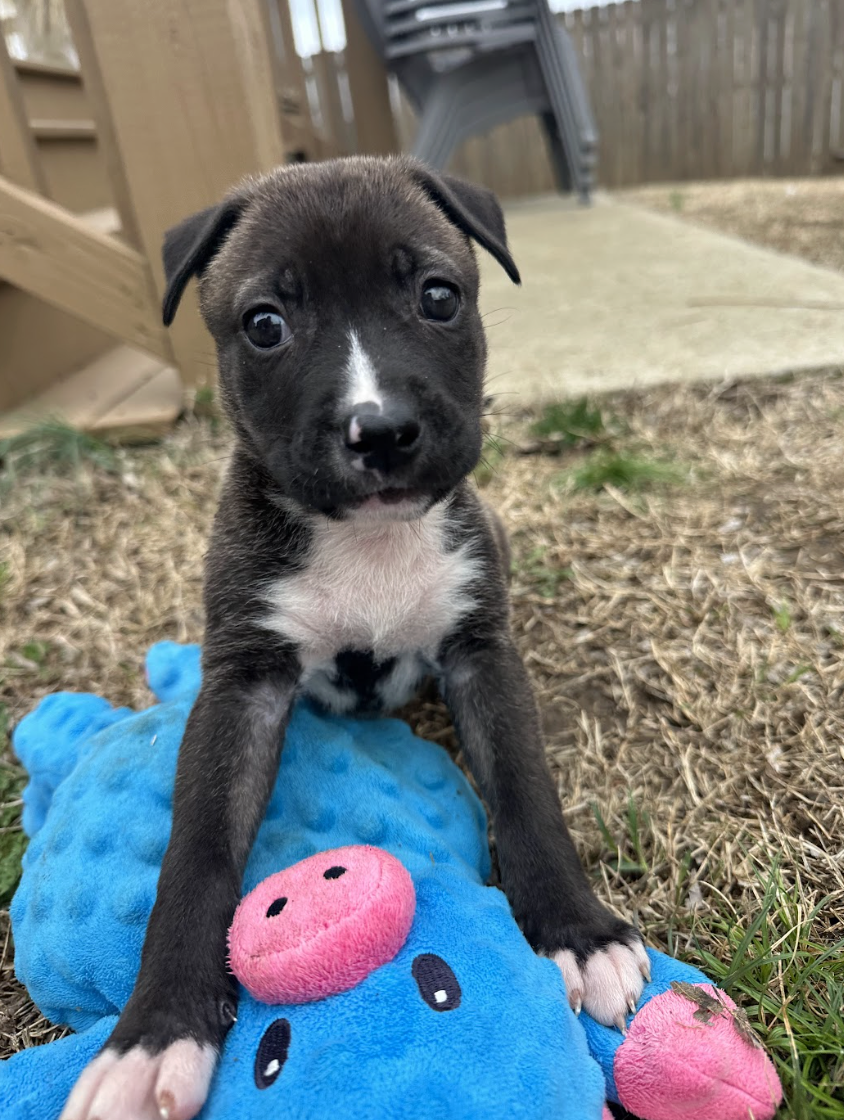 Screenshot 2026-03-20 at 2.58.26 PM.png