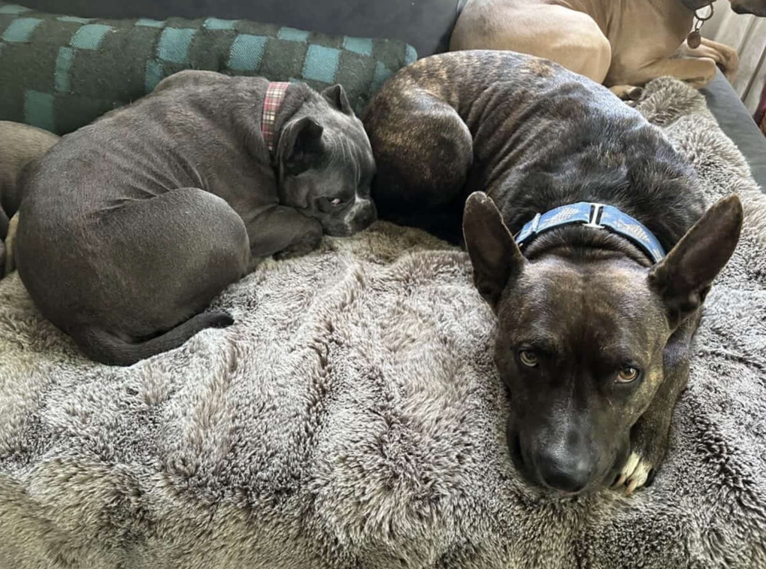 Screenshot 2026-04-22 at 4.41.56 PM.png