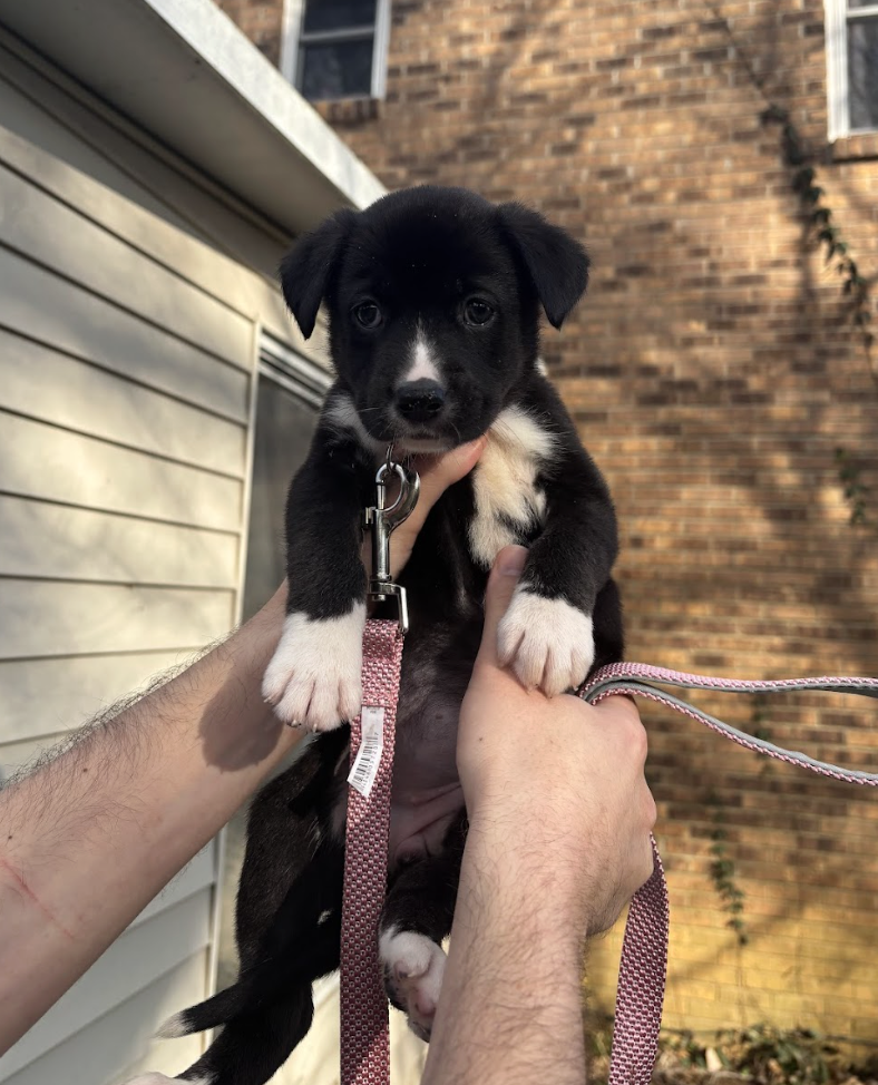 Screenshot 2026-03-20 at 2.59.45 PM.png