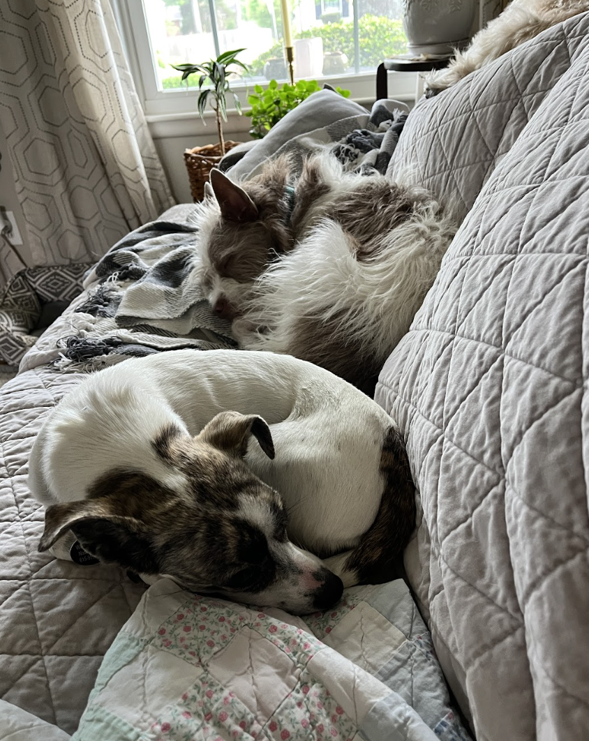 Screenshot 2026-04-22 at 3.25.23 PM.png