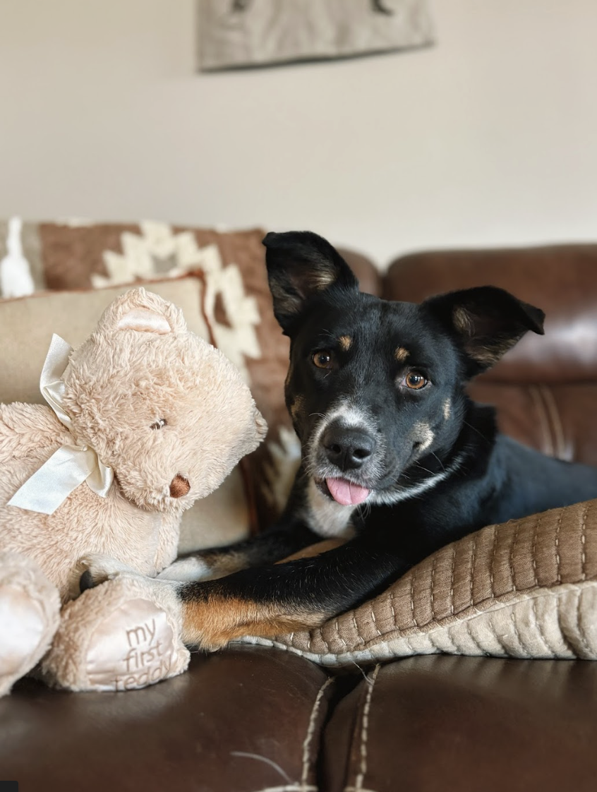 Screenshot 2026-01-08 at 1.38.30 PM.png