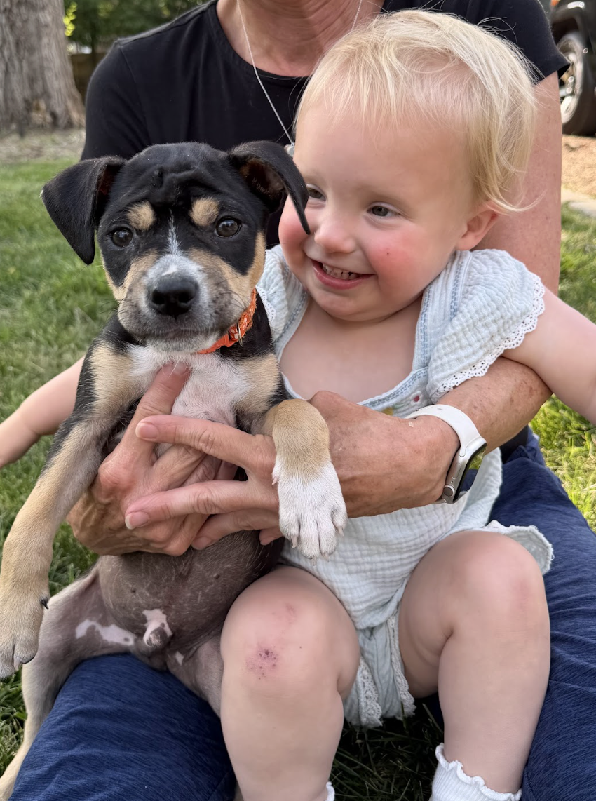 Screenshot 2026-04-28 at 1.59.42 PM.png