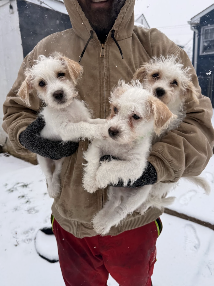 Screenshot 2026-01-24 at 7.42.03 PM.png