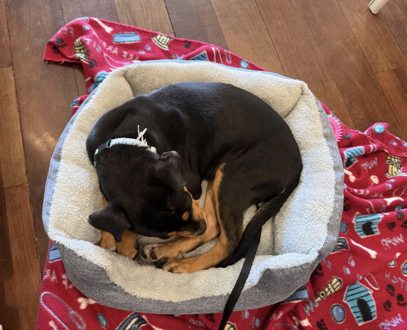 Screenshot 2026-02-27 at 2.14.59 PM.png