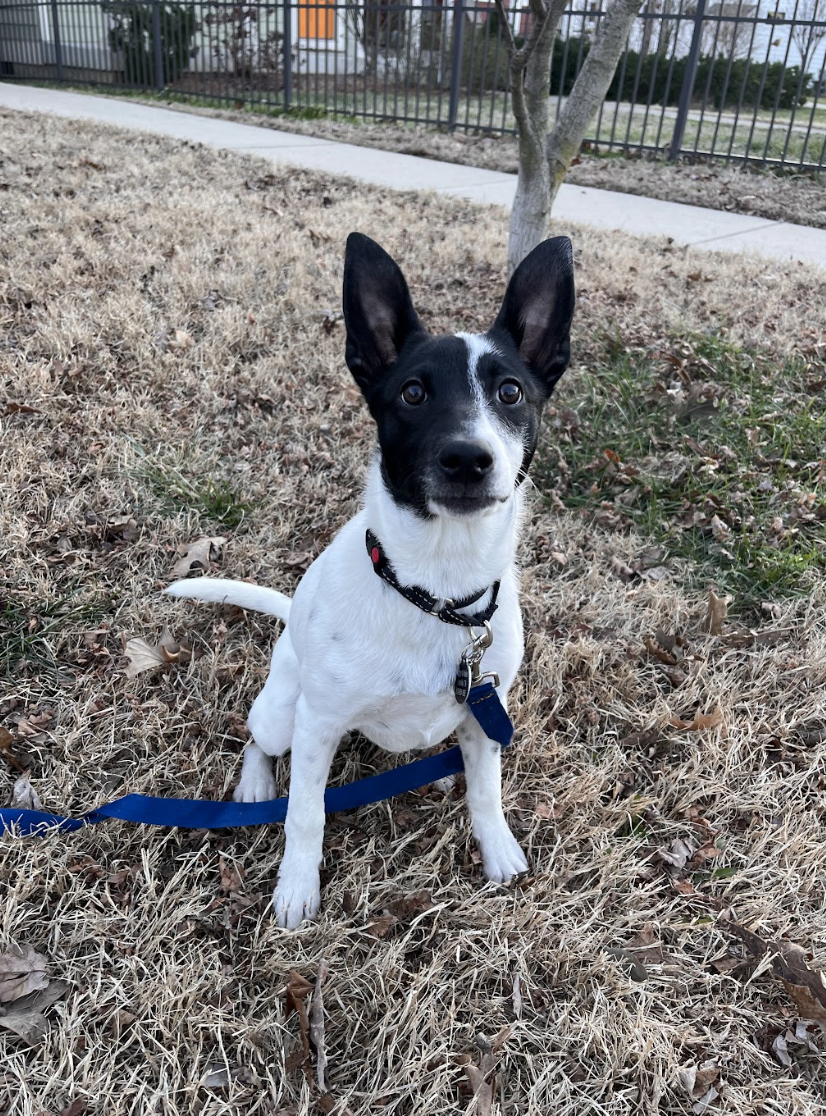 Screenshot 2026-02-13 at 1.00.16 PM.png