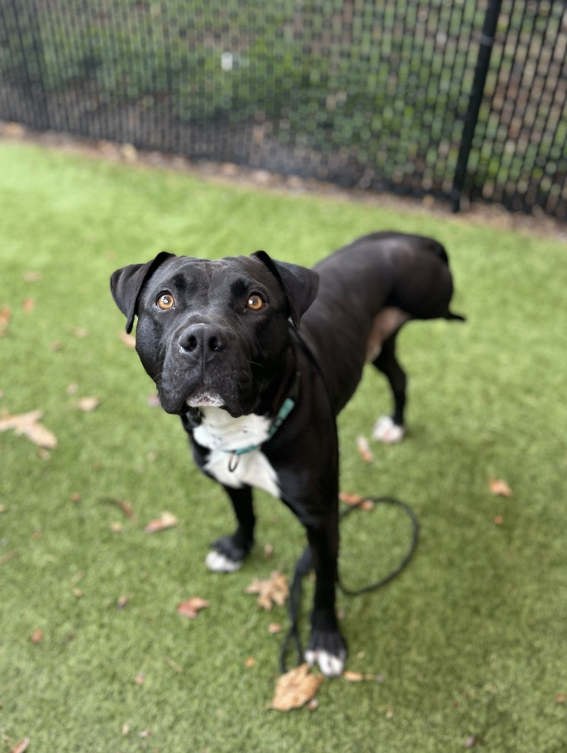 Screenshot 2026-01-14 at 3.43.44 PM.png