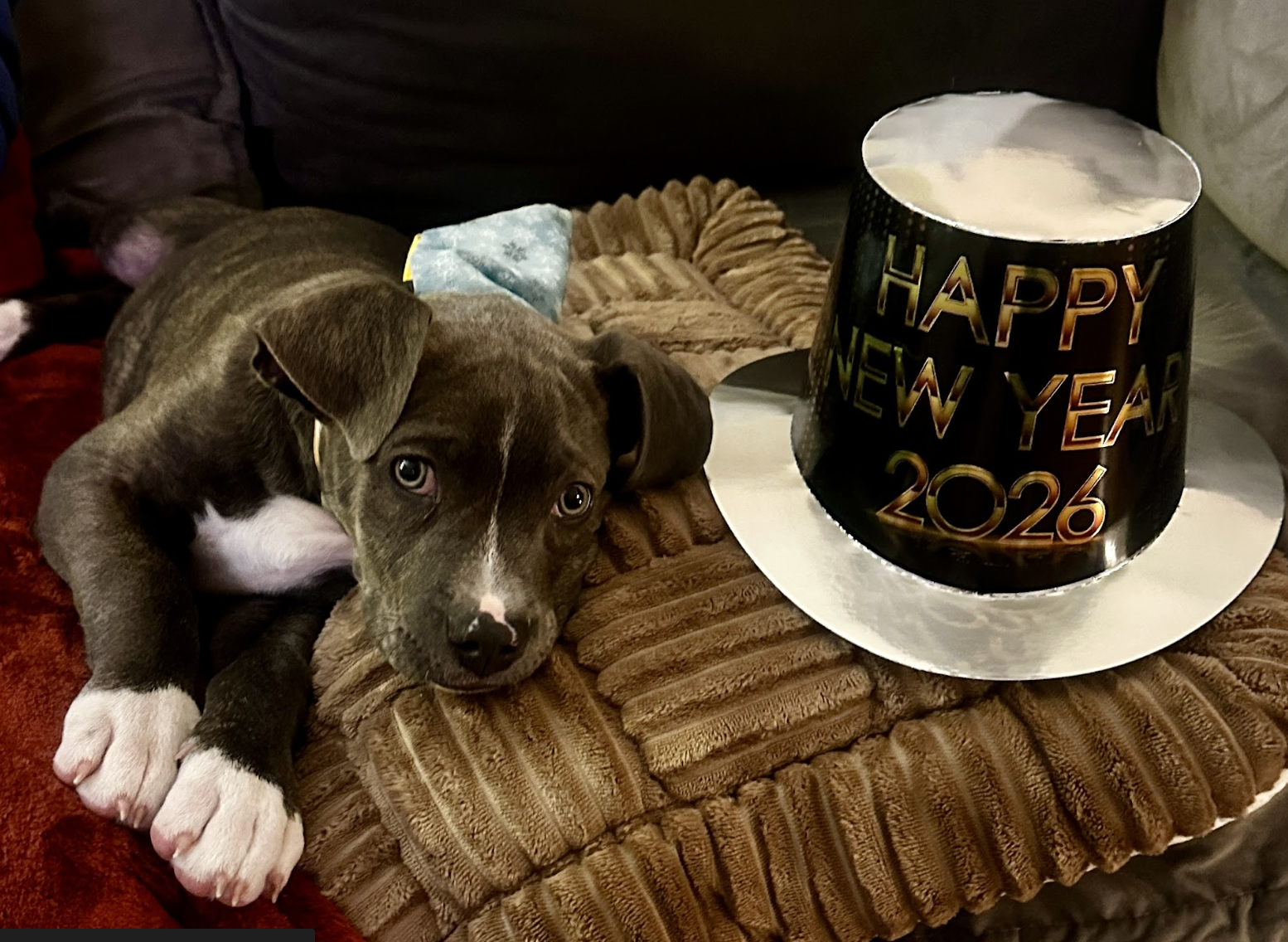 Screenshot 2026-01-08 at 1.23.41 PM.png