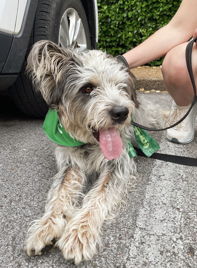 Screenshot 2026-04-22 at 6.01.21 PM.png