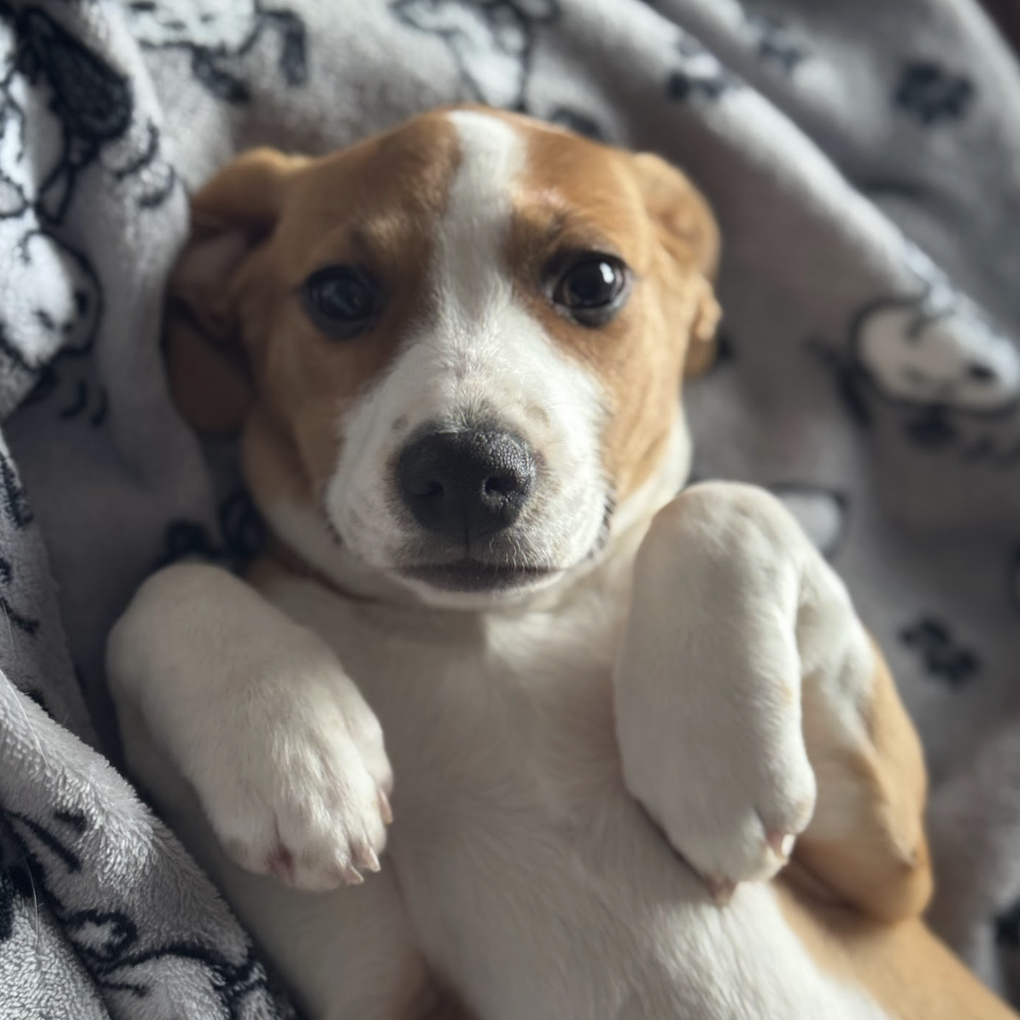 Screenshot 2026-02-13 at 1.28.58 PM.png