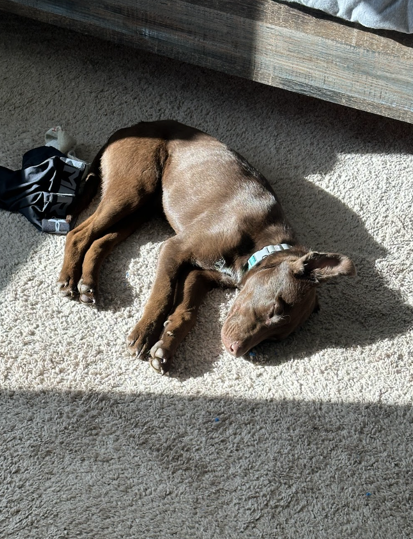 Screenshot 2026-04-03 at 1.33.23 PM.png