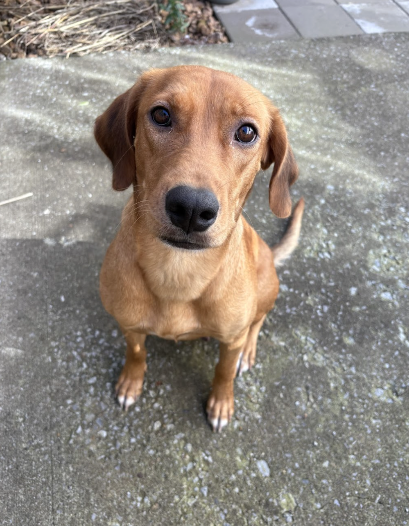 Screenshot 2026-01-14 at 6.56.41 PM.png