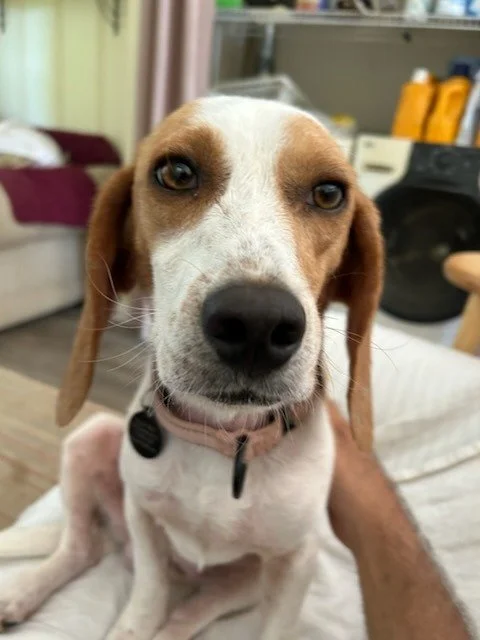 Buster.jpeg