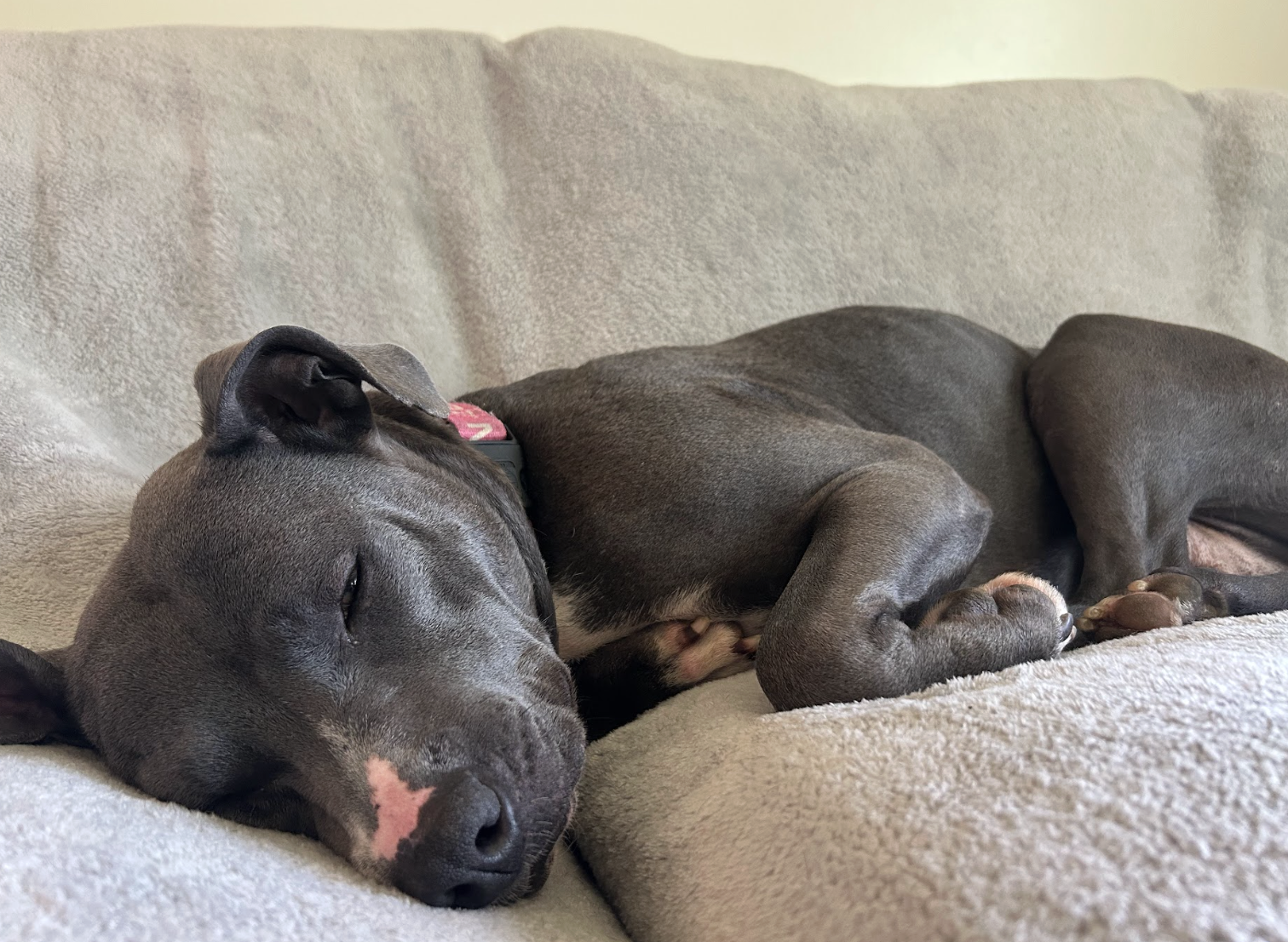 Screenshot 2026-04-22 at 3.37.47 PM.png