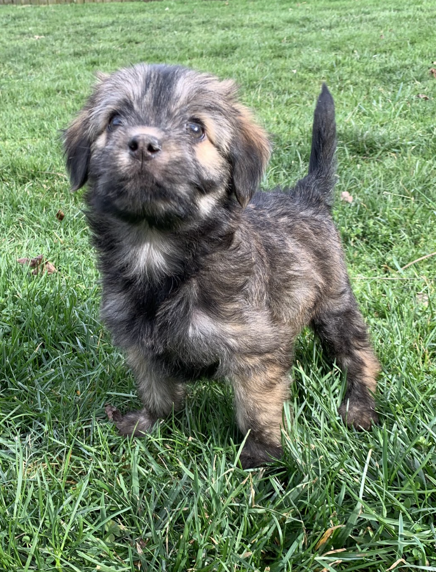 Screenshot 2026-01-17 at 2.55.36 PM.png