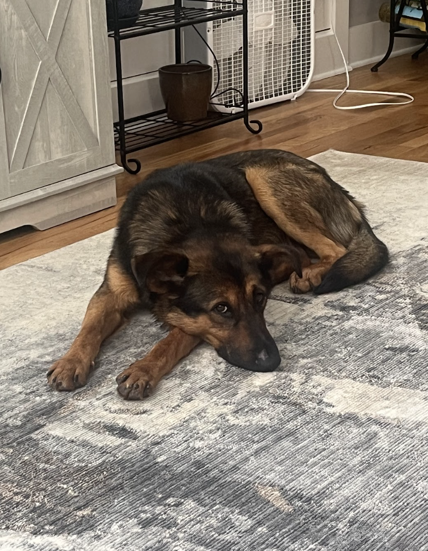 Screenshot 2026-04-22 at 5.33.05 PM.png