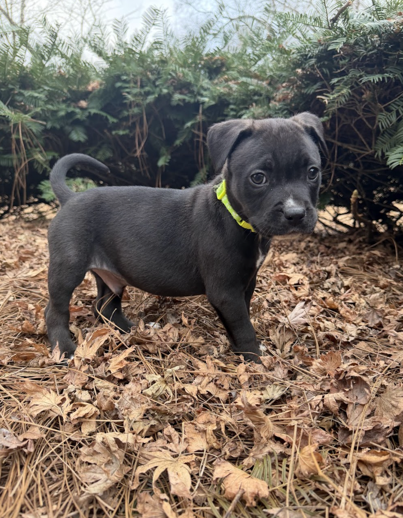 Screenshot 2026-01-09 at 10.34.38 AM.png