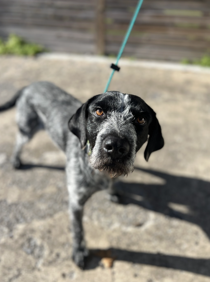 Screenshot 2026-01-15 at 3.34.48 PM.png