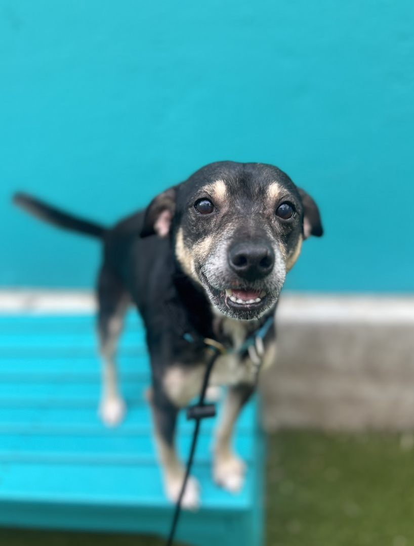 Screenshot 2026-04-21 at 1.42.35 PM.png