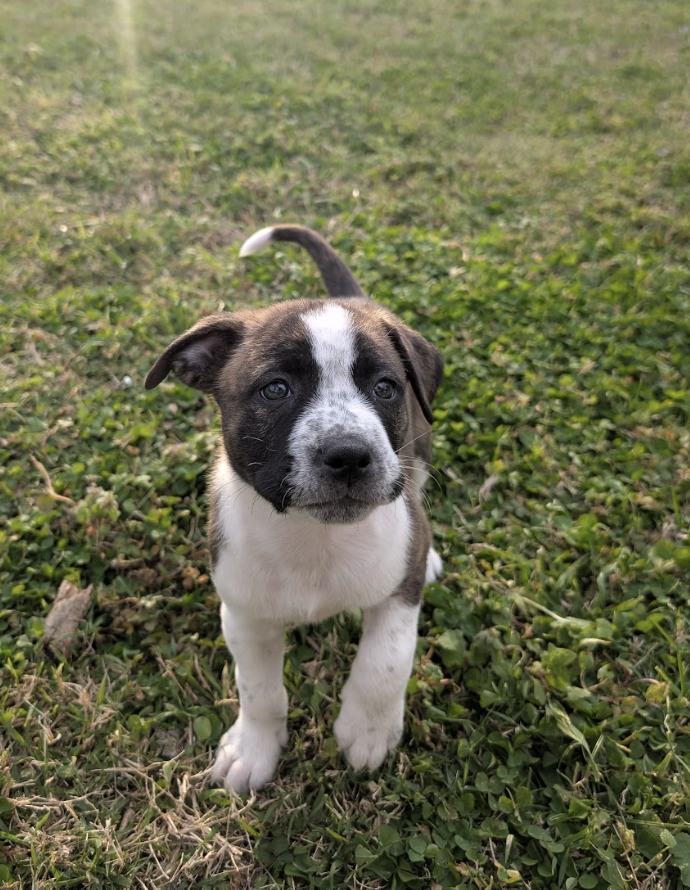 Screenshot 2026-03-27 at 7.57.51 PM.png