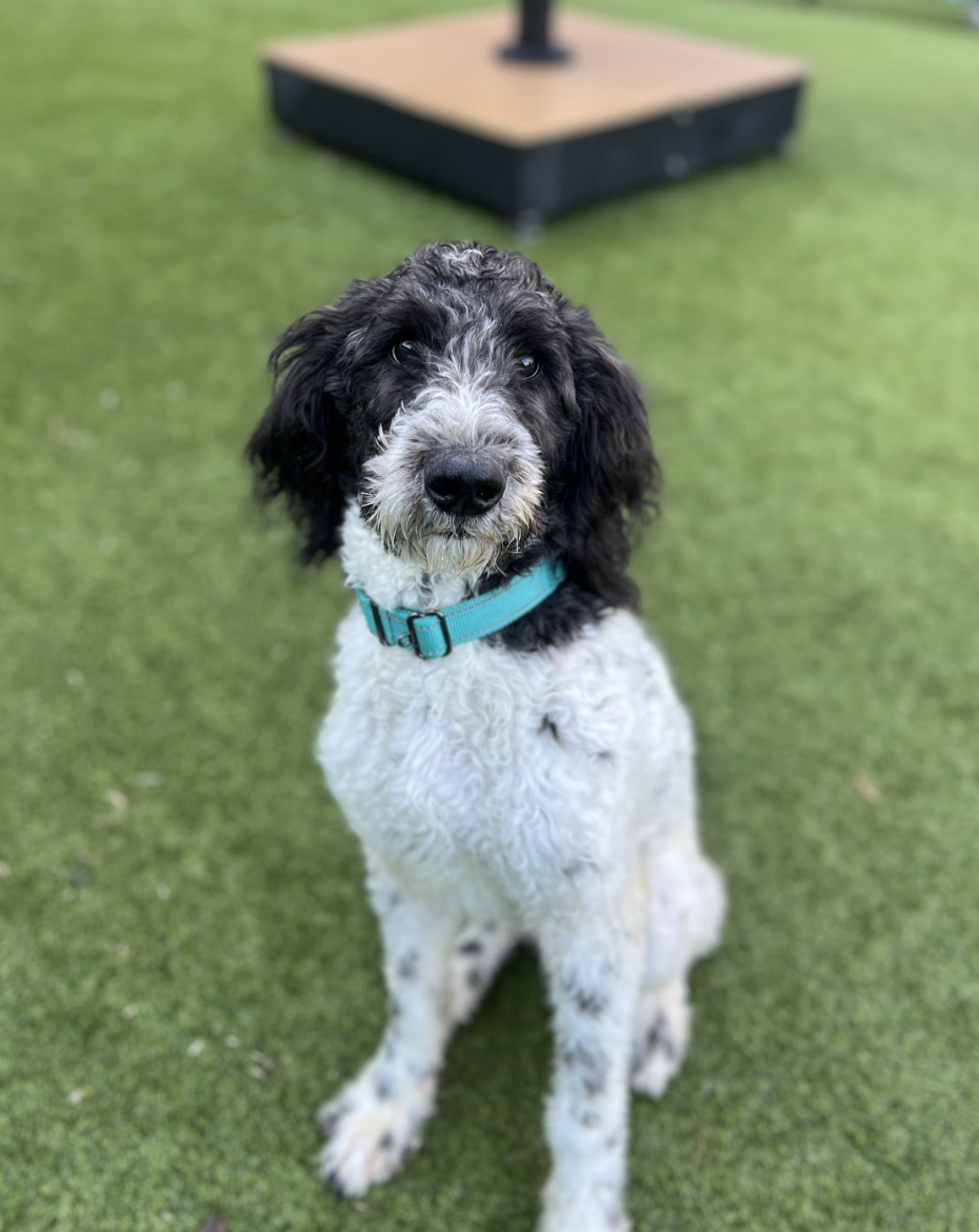 Screenshot 2026-01-25 at 10.13.24 AM.png