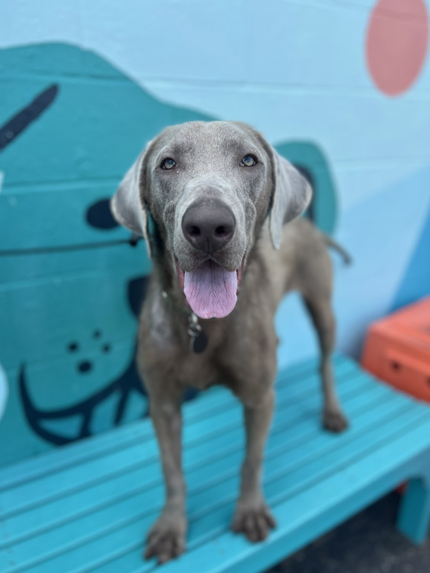 Screenshot 2026-04-23 at 1.49.44 PM.png