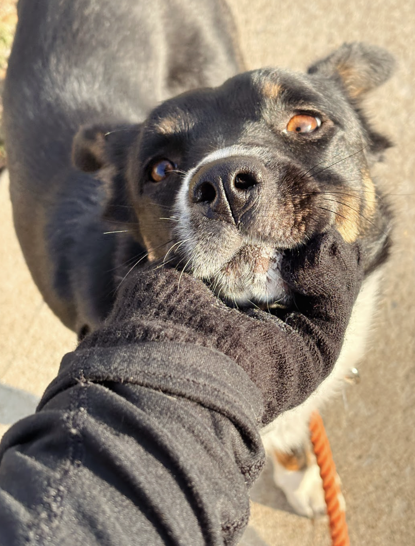 Screenshot 2026-02-26 at 2.27.40 PM.png