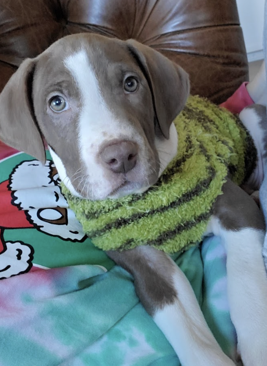 Screenshot 2026-01-07 at 1.19.27 PM.png