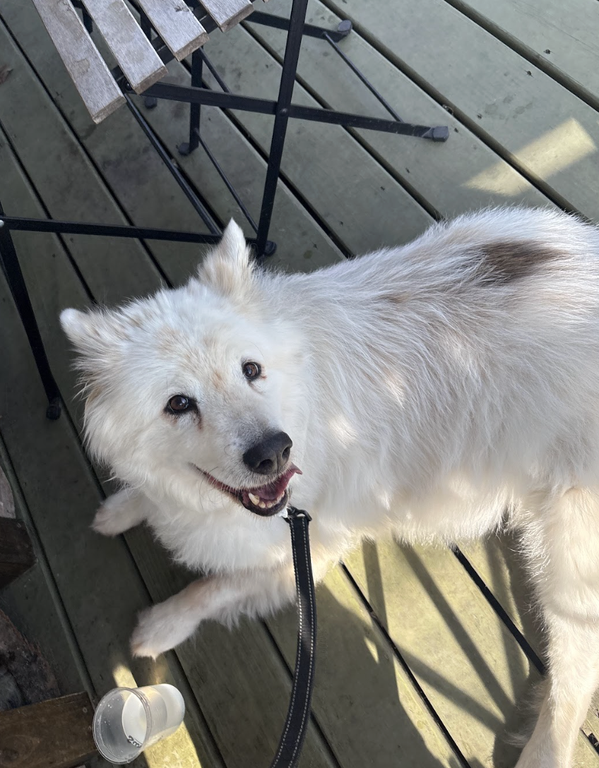 Screenshot 2026-03-24 at 12.28.46 PM.png