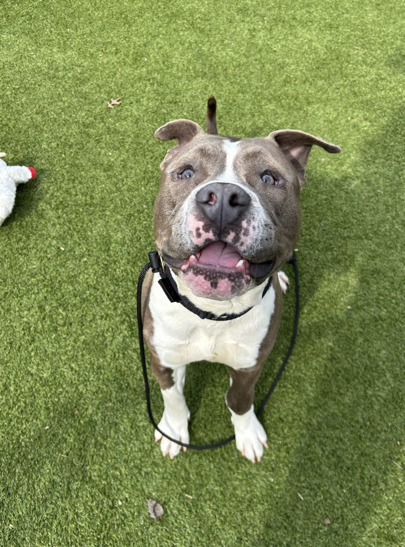 Screenshot 2026-02-12 at 2.13.55 PM.png