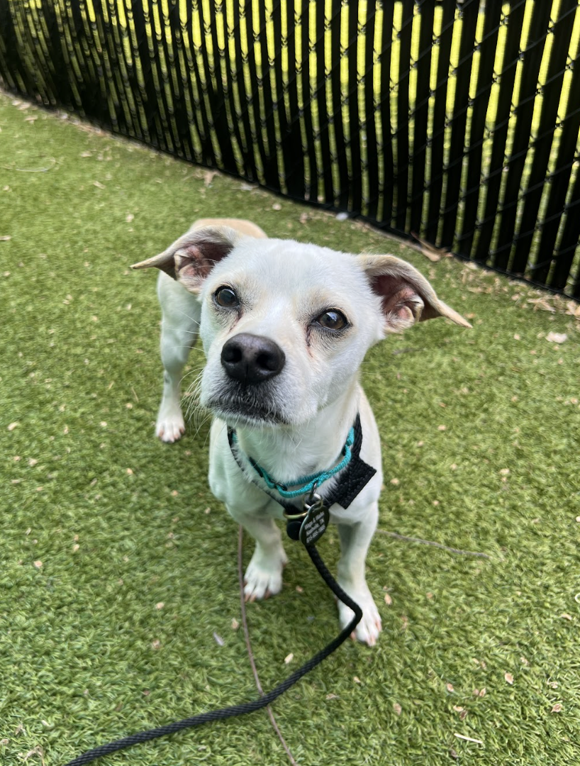 Screenshot 2026-04-09 at 6.47.16 PM.png